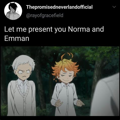 [ANIME] Season 1 of TPN explained using memes .